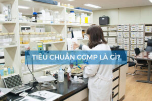 CGMP là gì